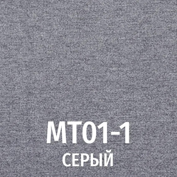 mt01 1